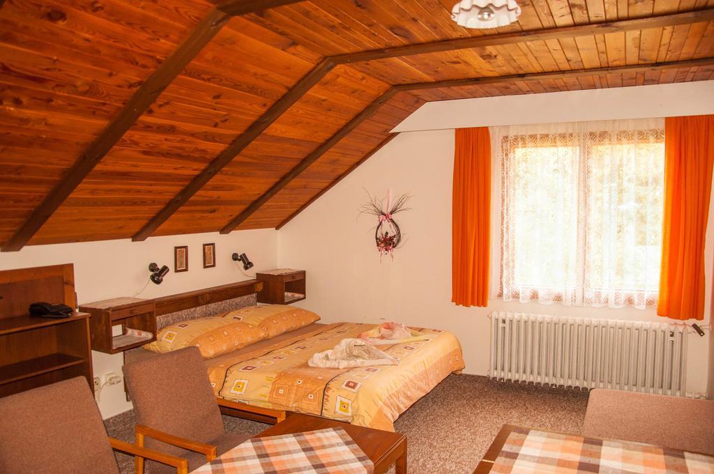 Отель Privat - Harrachov 392 Номер фото